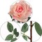 Pink Queen Anne Rose Stem - 12-Pack, Silk Foliage, Lifelike Blooms, Perfect for Floral Arrangements, Events & Home Décor - Ideal for All Seasons, Floral Home by Artificial Flowers